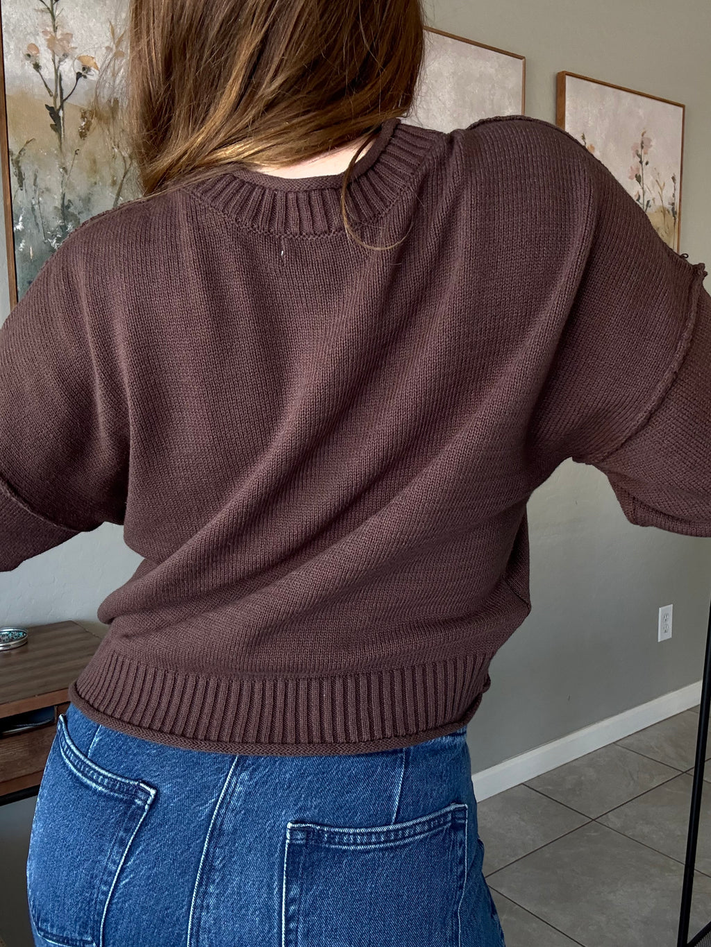 Chocolate Short Sleeve Pullover Knit Sweater.